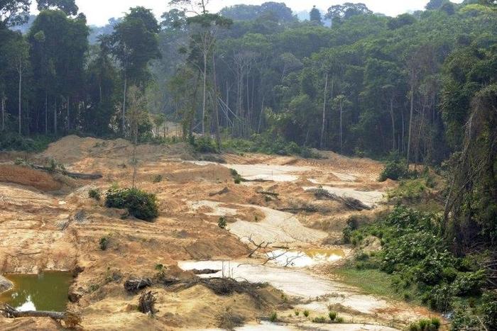 The Reserva Nacional del Cobre y Asociados is bigger than Denmark and home to virgin forest, as well as indigenous territories of the Aparai, Wayana and Wajapi tribes