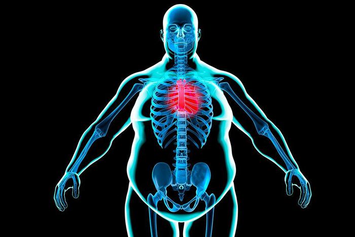 90 percent of men are overfat