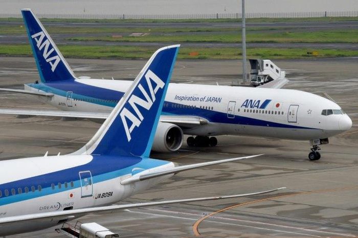 Japanese police have arrested a drunken American man over a punch-up with another passenger on an All Nippon Airways (ANA) flight, which caused a delay