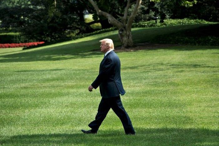 Donald Trump's presidency has been overshadowed by allegations that his campaign team colluded with Moscow during last year's US presidential campaign in which he defeated Hillary Clinton