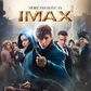 Fantastic Beasts and Where to Find Them IMAX poster