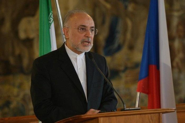 Ali Akbar Salehi, head of Iran's Atomic Energy Organisation, said Tehran wants to buy 950 tonnes of uranium concentrate from Kazakhstan "within three years"