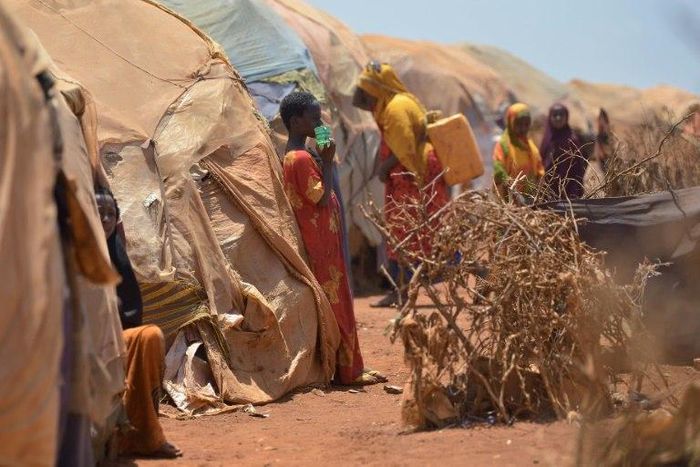 South Sudan government forces and allied militias have denied access to –- and sometimes attacked –- aid workers and looted relief supplies.