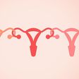 Do women really sync their period cycles when they spend a lot of time together?
