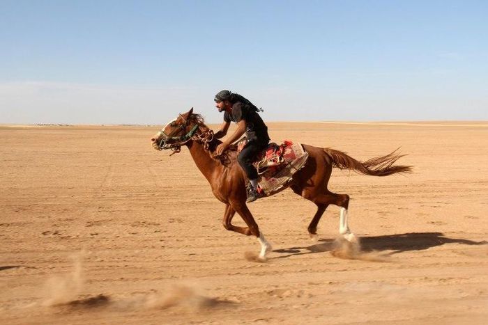 Syrians take part in a horse race for thoroughbred Arabian horses sponsored by Turkish NGO IHH, on May 12, 2017, in the southern Aleppo countryside