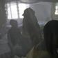 From January 1 to March 10 this year, 1.8 million malaria infections were registered in Burundi, according to the WHO