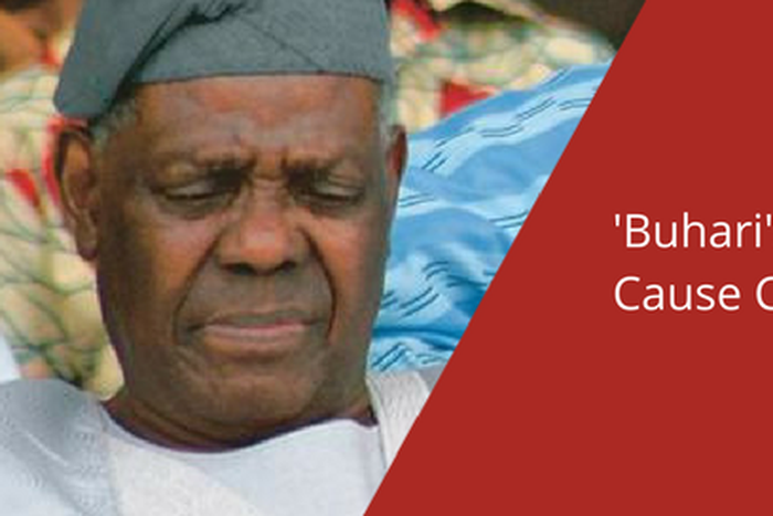 ___6610291___https:______static.pulse.com.gh___webservice___escenic___binary___6610291___2017___5___1___22___Bisi+Akande