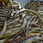 At its peak in 2014 wholesale prices for raw ivory stood at $2,100 (1,900 euros) per kg in Chinese markets, according to a report by two ivory trade experts