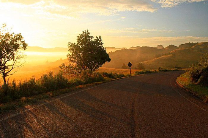 Rural areas at high risk for certain cancers