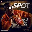 Spot - Hold you down