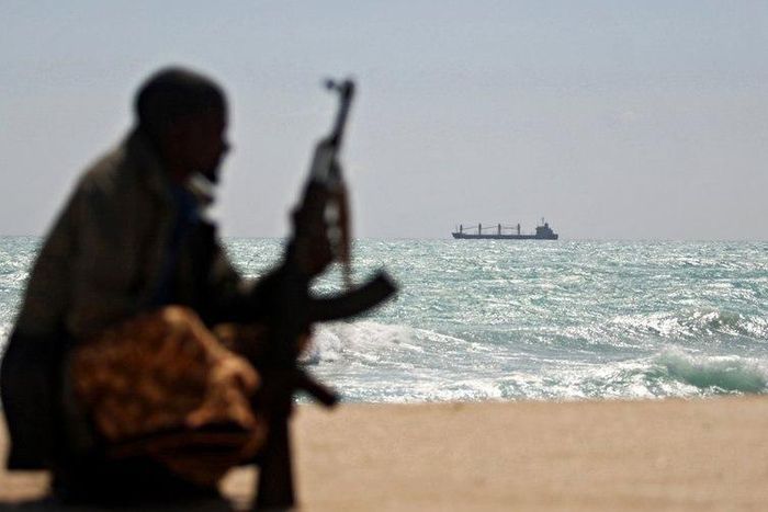 Somali pirates began staging attacks on ships in 2005, disrupting major international shipping routes and costing the global economy billions of dollars