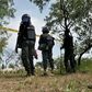 Policemen watch over cattle rescued from cattle rustlers at Dajin Gomo village of Sumaila local government area Kano, Nigeria, November 2, 2015. REUTERS/Stringer
