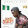 Demmie Vee - Sorry sorry