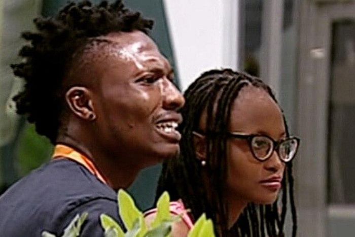 Big Brother Naija housemates
