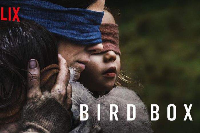 Bird Box trended online but fails to deliver (Netflix)