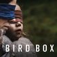Bird Box trended online but fails to deliver (Netflix)