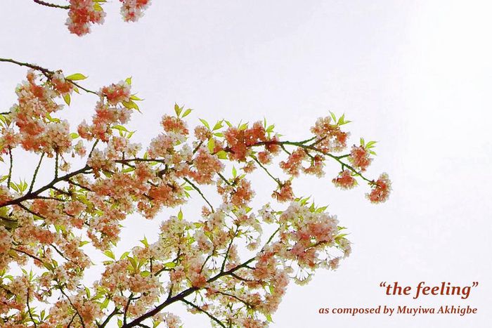 Muyiwa the feeling