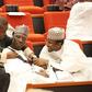 Senator Wakili (middle)