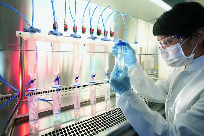 19. Medical and clinical laboratory technologist