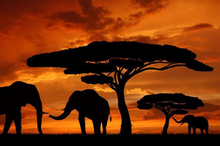 ___6232200___https:______static.pulse.com.gh___webservice___escenic___binary___6232200___2017___2___16___12___pinterest