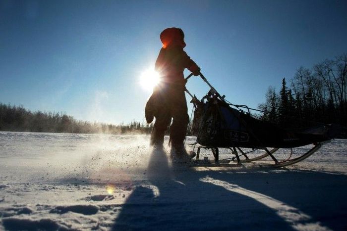 The Arctic is warming at twice the rate as the rest of the planet, and Alaska has seen three consecutive years of record high temperatures, scientists note