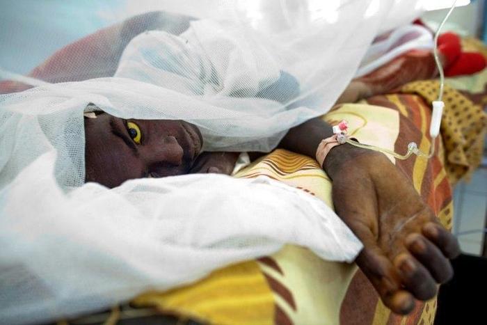 Yellow fever is a haemorrhagic disease transmitted by mosquitoes