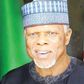 Customs boss, Hameed Ali