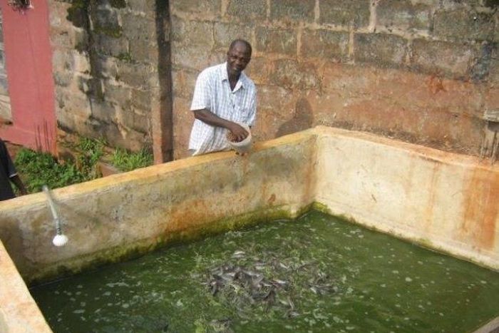 Small/medium scale business