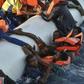 Thousands of migrants, many of them from sub-Saharan Africa, have died trying to get to Europe