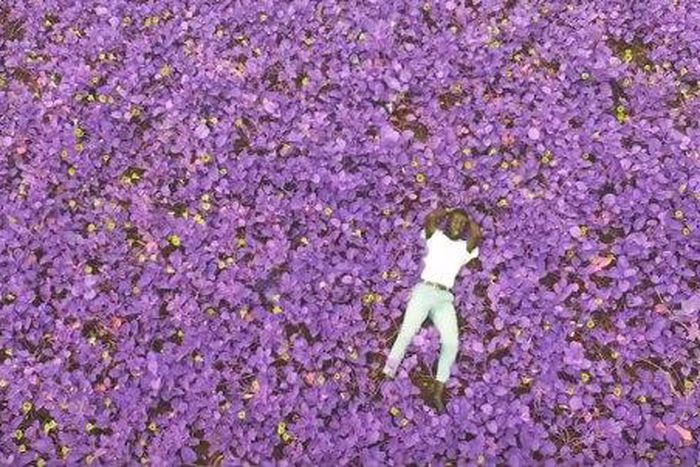 Odunsi - Vanilla freestyle.