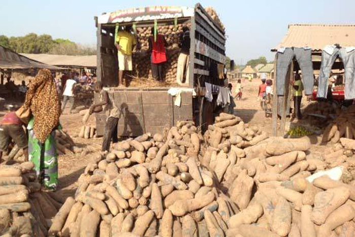 Zaki Biam Yam Market, Benue state Nigeria is the largest yam market in West Africa.