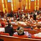 Nigerian Senate