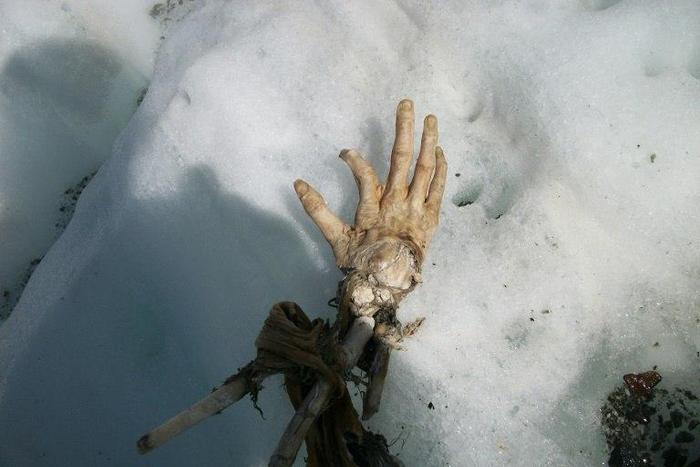 A hand and part of a leg that could belong to passengers killed in two Air India plane crashes at least 50 years ago have been found on Mont Blanc, Western Europe's highest mountain