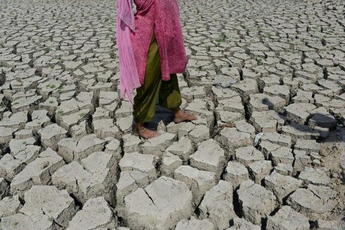 The global average temperature last year was 1.69 Fahrenheit (0.94 Celsius) above the 20th century average