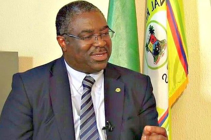 FIRS boss, Babatunde Fowler