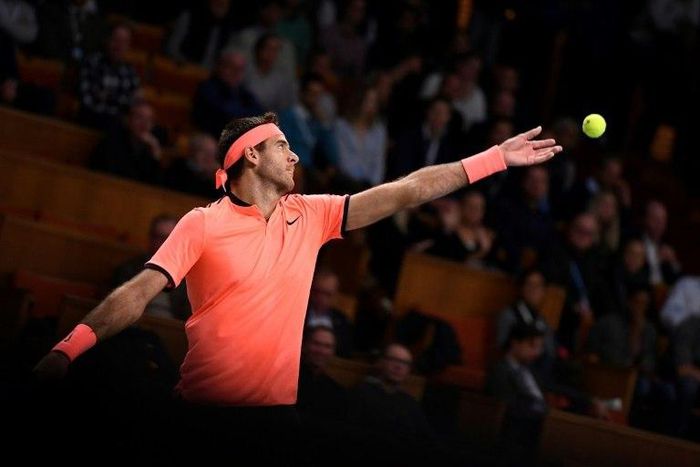 Argentina's Juan Martin Del Potro (pictured), playing just his second match of 2017, held on to beat Bosnia's Damir Dzumhur 7-6 (7/5), 4-6, 6-3, to advance to the ATP Delray Beach Open quarter-finals, on February 23