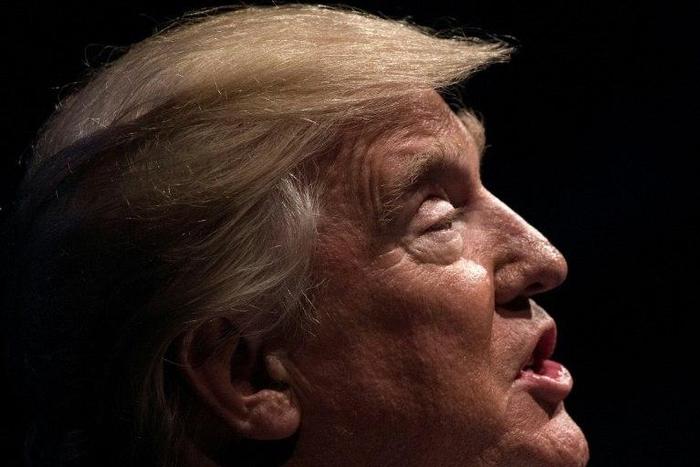 Donald Trump's young presidency has been battered by allegations that Russia interfered to sway the November election in his favor