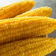 ___6814866___https:______static.pulse.com.gh___webservice___escenic___binary___6814866___2017___6___10___12___Everything-You-Need-To-Know-About-Corn7