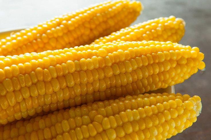 ___6814866___https:______static.pulse.com.gh___webservice___escenic___binary___6814866___2017___6___10___12___Everything-You-Need-To-Know-About-Corn7