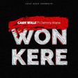 Cash Wale - 'Won kere' ft Dammy Krane