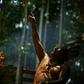Brazil's President Jair Bolsonaro has decreed the FUNAI agency in charge of indigenous affairs will no longer have a say over creating and defining the boundaries of lands occupied by indigenous people