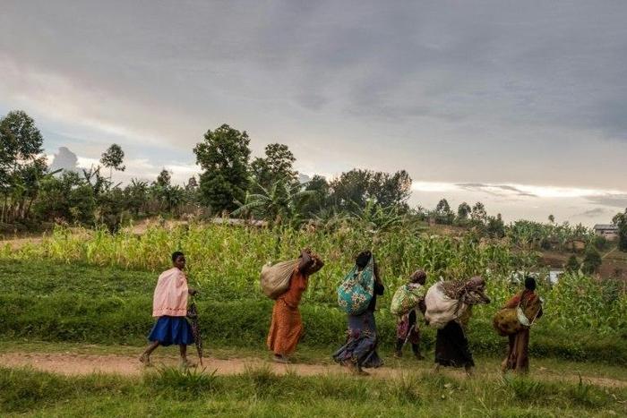 The North Kivu province of the Democratic Republic of Congo is a region that has been plagued by regular flare-ups of ethnic bloodshed