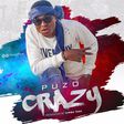 Puzo Crazy