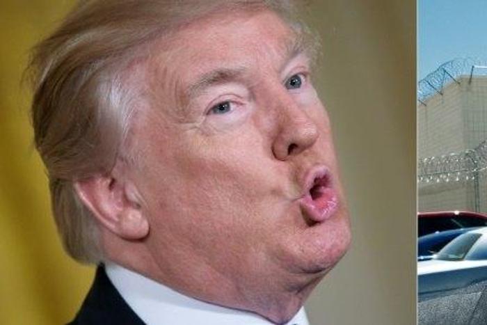 Donald Trump hailed former Arizona sheriff Joe Arpaio, who was convicted last month of criminal contempt for illegally targeting Hispanic immigrants, as a "patriot"