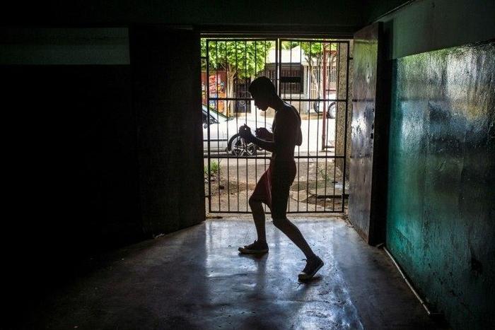 Boxers were allegedly held in overcrowded and unhealthy conditions