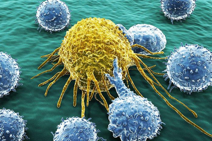 foods might stop cancer from spreading