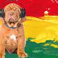 Calm down your dog by playing him reggae music