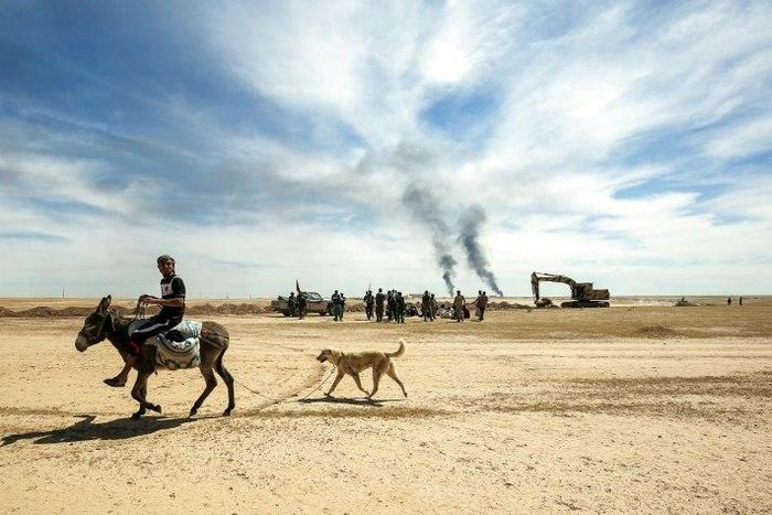 A displaced Iraqi man rides a donkey, followed by his dog, on April 26, 2017 as pro-government paramilitary forces advance on the ancient city of Hatra, southwest of of Mosul, during an offensive to retake the area from the Islamic State group