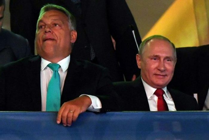 Russian President Vladimir Putin (R) sits next to Hungarian Prime Minister Viktor Orban during the World Judo Championships in Budapest on August 28, 2017