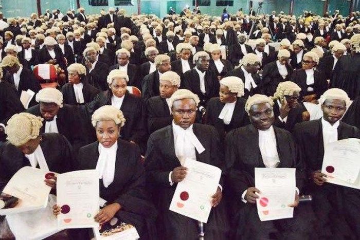 Lawyers during an induction